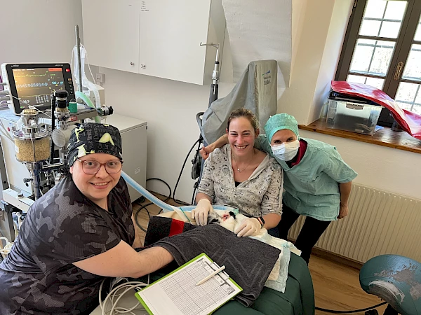 The team during an operation